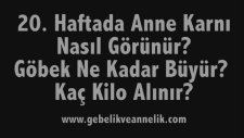 Hamilelikte 20. Hafta - Anne Karnında Bebek Gelişimi