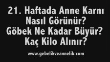 Hamilelikte 21. Hafta - Anne Karnında Bebek Gelişimi