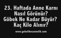 Hamilelikte 23. Hafta - Anne Karnında Bebek Gelişimi