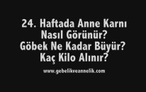 Hamilelikte 24. Hafta - Anne Karnında Bebek Gelişimi