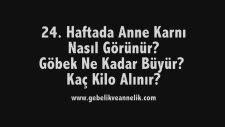 Hamilelikte 24. Hafta - Anne Karnında Bebek Gelişimi