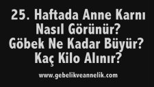 Hamilelikte 25. Hafta - Anne Karnında Bebek Gelişimi