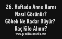 Hamilelikte 26. Hafta - Anne Karnında Bebek Gelişimi