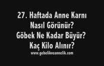 Hamilelikte 27. Hafta - Anne Karnında Bebek Gelişimi