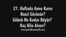Hamilelikte 27. Hafta - Anne Karnında Bebek Gelişimi