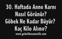 Hamilelikte 30. Hafta - Anne Karnında Bebek Gelişimi
