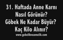 Hamilelikte 31. Hafta - Anne Karnında Bebek Gelişimi