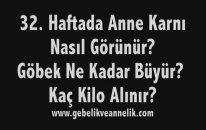 Hamilelikte 32. Hafta - Anne Karnında Bebek Gelişimi