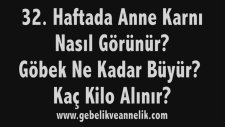 Hamilelikte 32. Hafta - Anne Karnında Bebek Gelişimi
