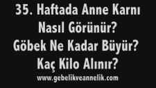 Hamilelikte 35. Hafta - Anne Karnında Bebek Gelişimi