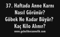 Hamilelikte 37. Hafta - Anne Karnında Bebek Gelişimi