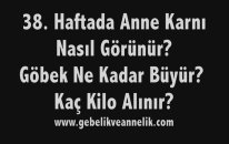 Hamilelikte 38. Hafta - Anne Karnında Bebek Gelişimi