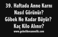 Hamilelikte 39. Hafta - Anne Karnında Bebek Gelişimi