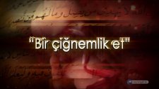 Kur'an'ın Bilimsel Mucizeleri - 12: Bir Çiğnemlik Et Parçası