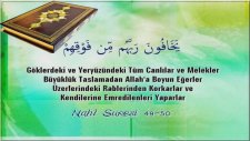 Kuranı Kerim Türkçe Meali Nahl Suresi 49-50