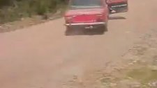 Ahmet ve Kızıl Kobrası
