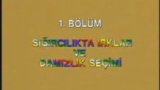 İşte Yayçep Sizlerle...