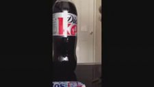 Kız Kardeşe Mentos ve Kola Şakası