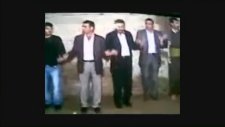 Aşırı Zoofobik Olmak