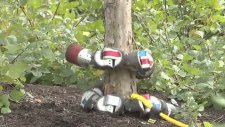 Ağaca Tırmanan Gözcü Yılan Robot
