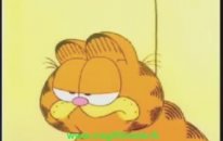 Garfield Veterinerde