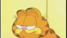 Garfield Veterinerde