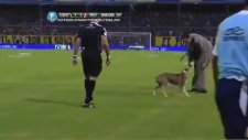 River Plate Maçına Kendi Yorumunu Katan Köpek