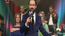 Tolga Meriç - Artık Yeşerecek Bir Dalım Yok