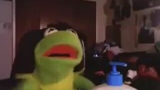 Kermit'in 2 Girl 1 Cup'a Tepkisi