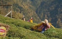 Lipton - Çay yapmak kolay mı?