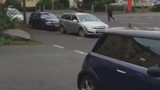 Almanya'da Kaçan Kurbanlık Koyun