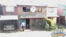 Sahiplerine Taşımada Yardım Eden Köpek