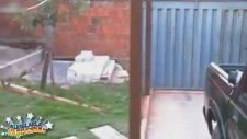 Eğitimcilerini Sıçırtan Köpek