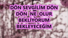 Seni Seviyorum Si Minör Kürdi Karaoke Md Altyapısı Şarkı Sözü