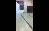 Gavsım Gavsım Diye İnleyen Kedi..