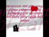 dj ates ft dj aleyna seviyorum deli gibi