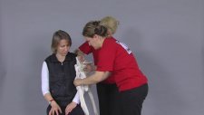 ÜST KOL KIRIĞINDA İLKYARDIM
