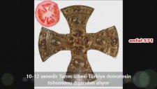 Yediğimiz domateslerin içinden haç çıkıyor