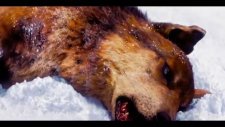 Wolfteam 1 KLanı GölgeHaramileri Kral Biziz KLan Şarkısı