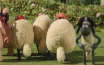Koyun Shaun (Shaun the Sheep) - Büyük Takip (Çizgi Film)