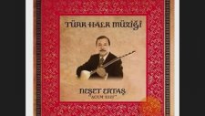 Neşet Ertaş - Ayva Turunç Narım Var