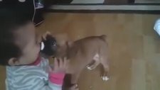 İlk Defa Karşılaşan Yavru Köpek ile Bebeğin Tanışma Sevinci