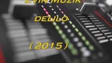 Evin Müzik - Delilo 2015 (Metin Uslu)