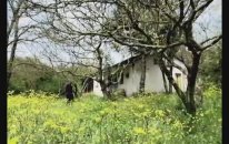 Volkan Konak-Mimoza Çiçeğim (Mimoza Albümü-2009)