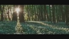 Eckhart Tolle - Kabullenme