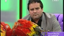 Tuncer Hoca ile Şifa Buluyorum