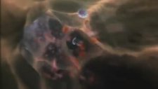 Harvard University - The Inner Life of the Cell