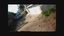 Dogo Argentino vs Pit Bull
