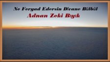 Ne Feryad Edersin Divane Bülbül-Adnan Zeki Bıyık