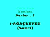 Ağaçseven Köyü Yaylası